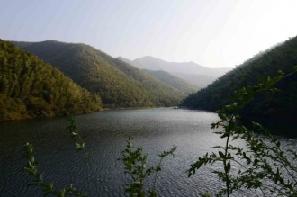 荷兰花海+南山竹海二日游