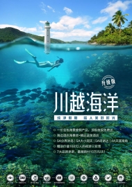 临沂海口川越海洋升级版双飞5日游