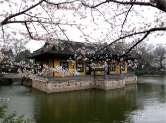 【梅兰芳菲】南京梅花山+无锡鼋头渚纯玩三日